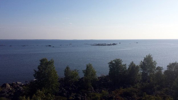 SEO i Finland?