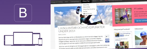 Nytt Bootstrap WordPress template