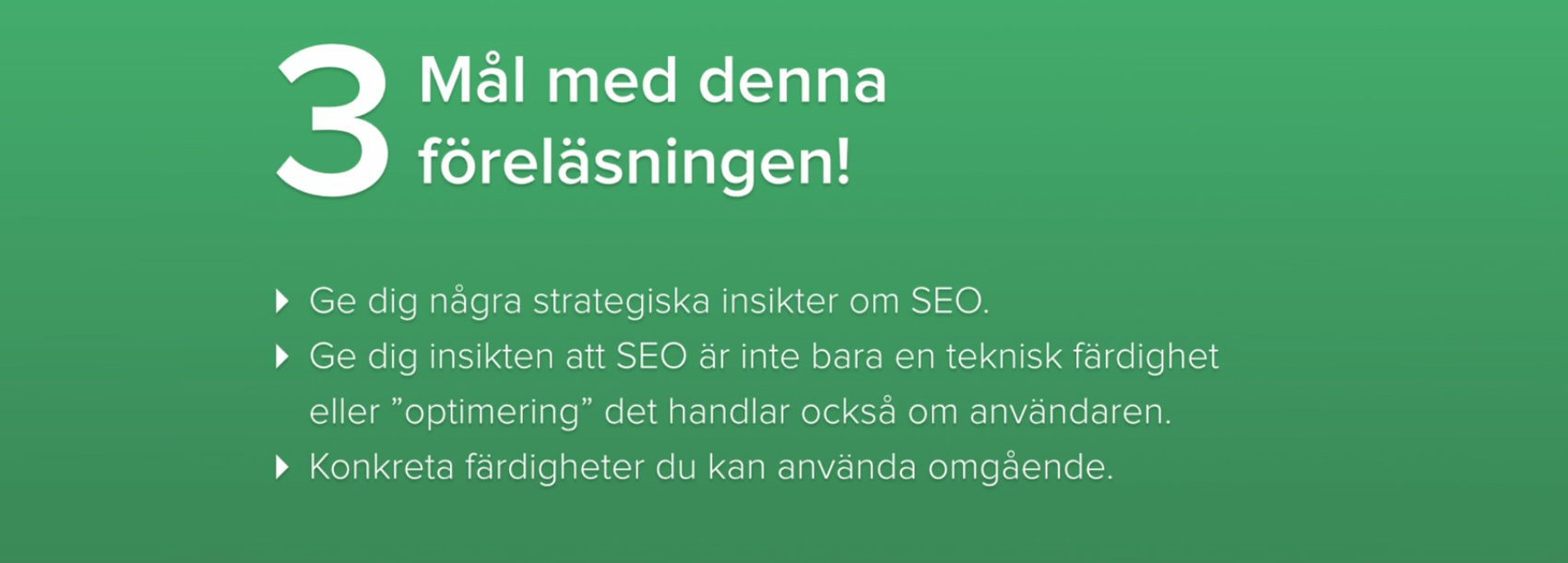sökmotoroptimering föreläsning